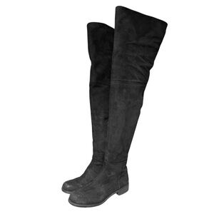 Stuart Weitzman Thigh Hilo Suede Boots size 7.5